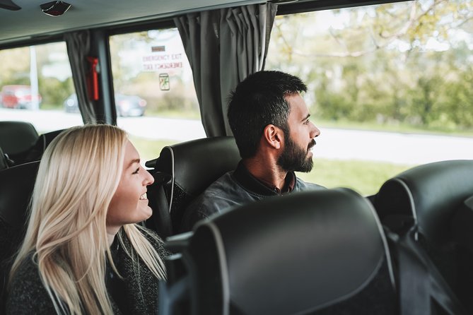 Airport Transfer in Iceland From Keflavik Airport to Reykjavik City With Hotel Drop off - Features and Amenities
