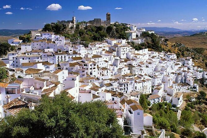 Airport Transfer: Malaga Airport AGP to Malaga by Business Car - FAQ: Your Questions Answered