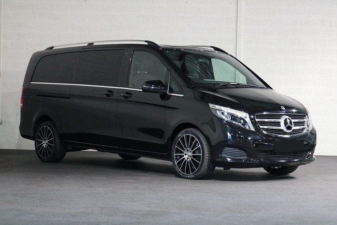 Airport Transfer: Prague Airport PRG to Prague by Luxury Van - Driver Professionalism