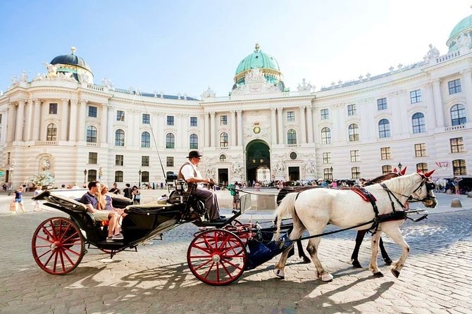 Airport Transfer: Vienna to Vienna Airport VIE by Luxury Van - Included Amenities