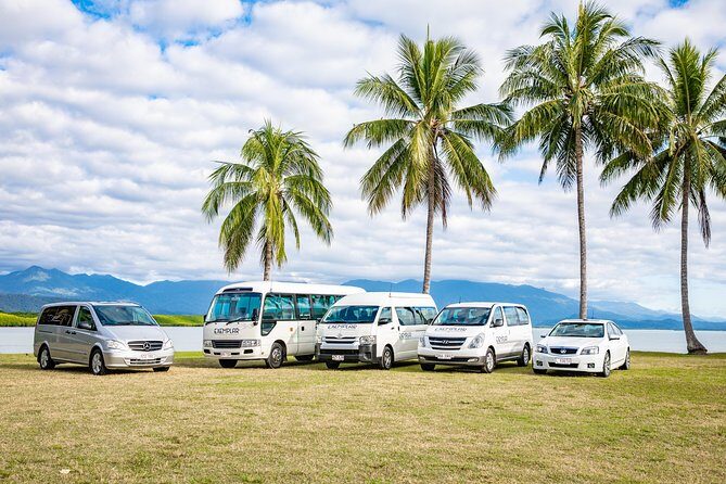 Airport Transfers between Cairns Airport and Palm Cove - Key Points