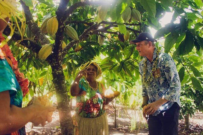 Airport Transfers from Honiara International Airport to Hotel - The Experience of the Airport Transfer