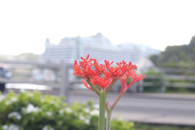 Airport Transfers - Hewanorra International Airport (UFV) One Way - FAQ