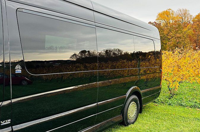 Airport Transportation, City and Winery Tours, Hourly As Directed - Who Would Benefit Most?