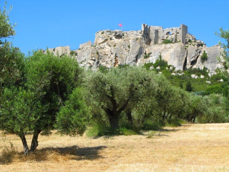 Aix-en-Provence: Arles, Saint Rémy, and Les Baux Day Trip - Key Attractions in Arles