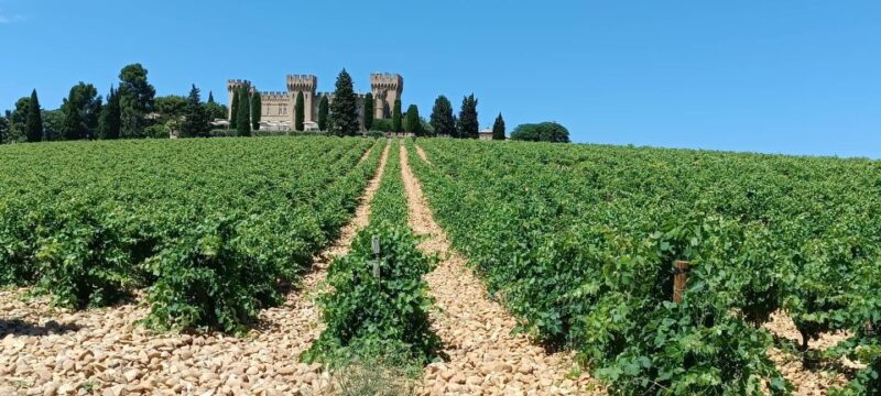 Aix-en-Provence: Avignon Tour & Chateauneuf-du-Pape Tasting - Palais Des Papes Visit