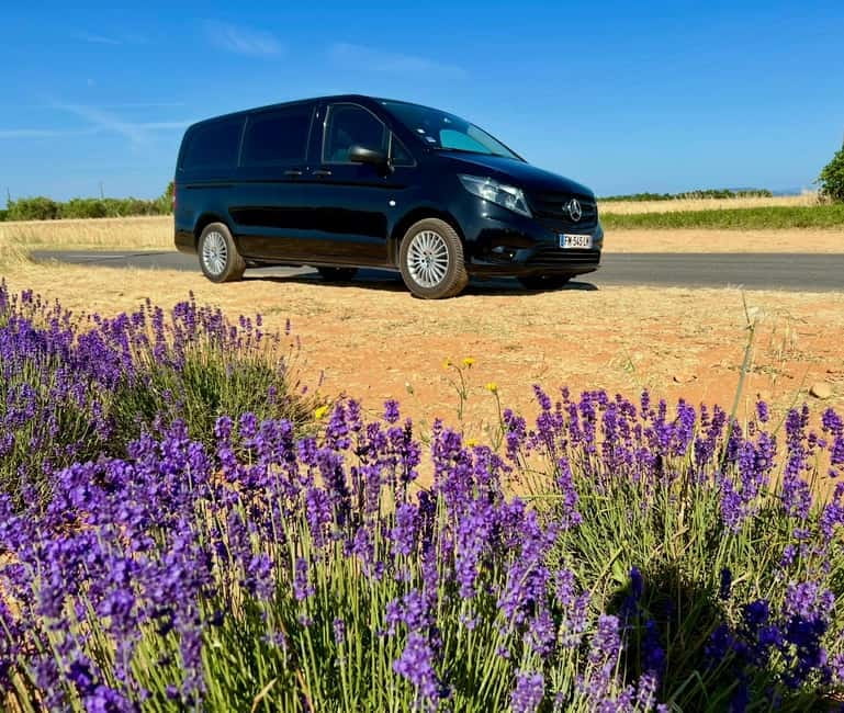 Aix en Provence: Lavender Fields & LOccitane Factory - The Value of This Experience  