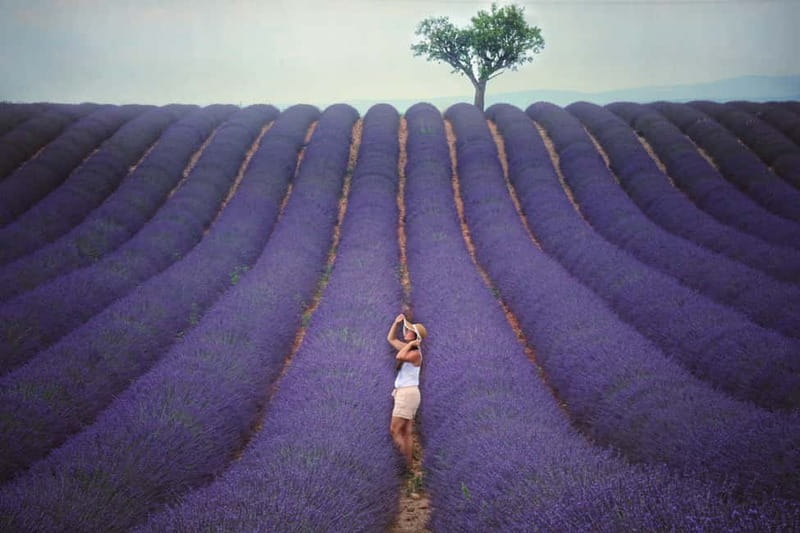 Aix en Provence: Lavender Fields & LOccitane Factory - Who Will Love This Tour?  