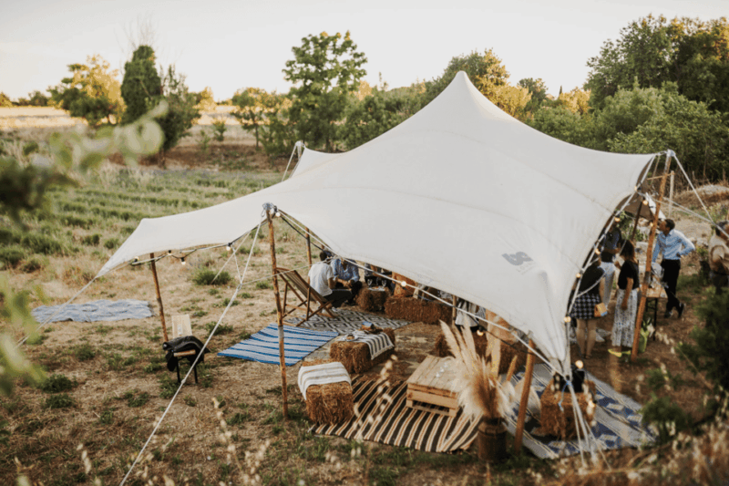 Aix-en-Provence: Lavender Fields Visit - Key Points