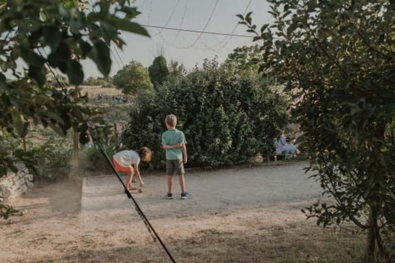 Aix-en-Provence: Visit to a lavender field + snacks - Key Points