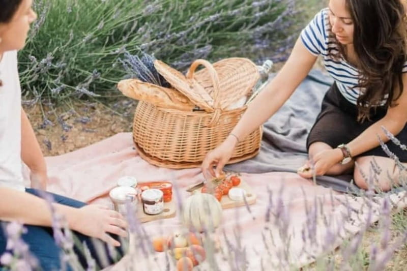 Aix-en-Provence: Visit to a lavender field + snacks - Exploring the Lavender Experience in Provence