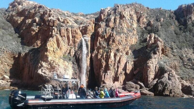 Ajaccio/Porticcio: Scandola and Calanches De Piana Day Trip - Customer Feedback