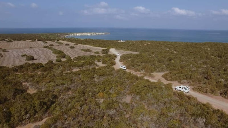 Akamas Jeep Safari Tour from Paphos - Key Points