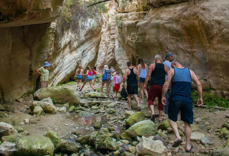 Akamas Jeep Safari Tour from Paphos - Authentic Experiences and Authenticity