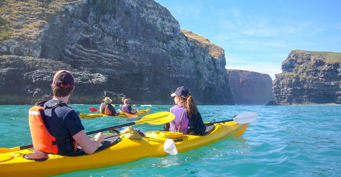 Akaroa: 4WD Safari and Guided Sea-Kayaking Experience - Key Points