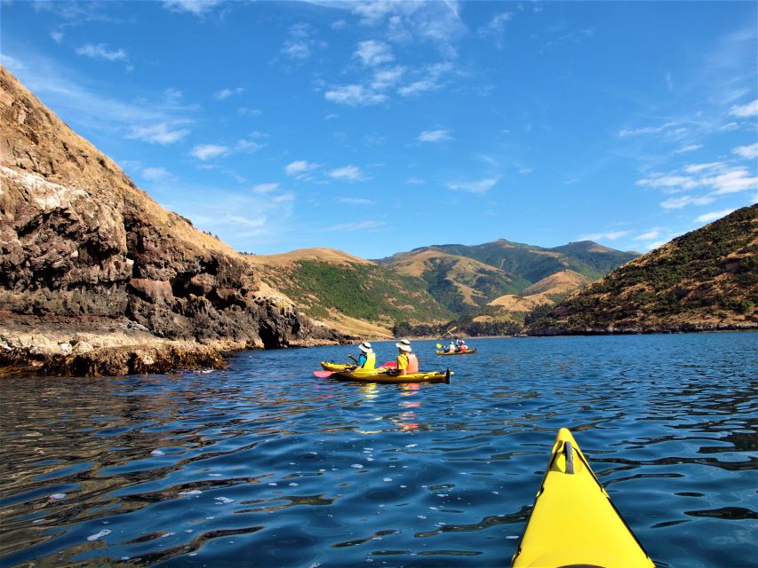 Akaroa: 4WD Safari and Guided Sea-Kayaking Experience - Directions