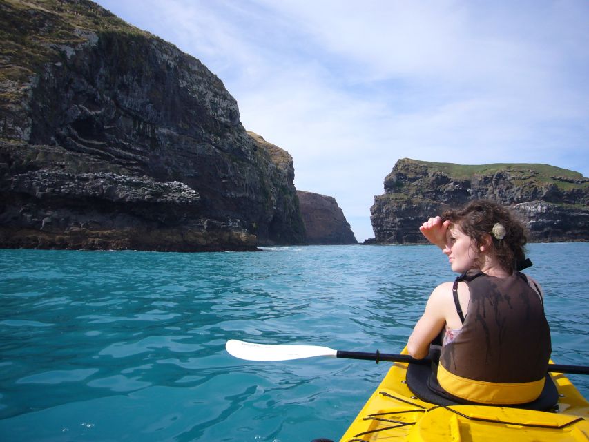 Akaroa: 4WD Safari and Guided Sea-Kayaking Experience - Tips for Participants