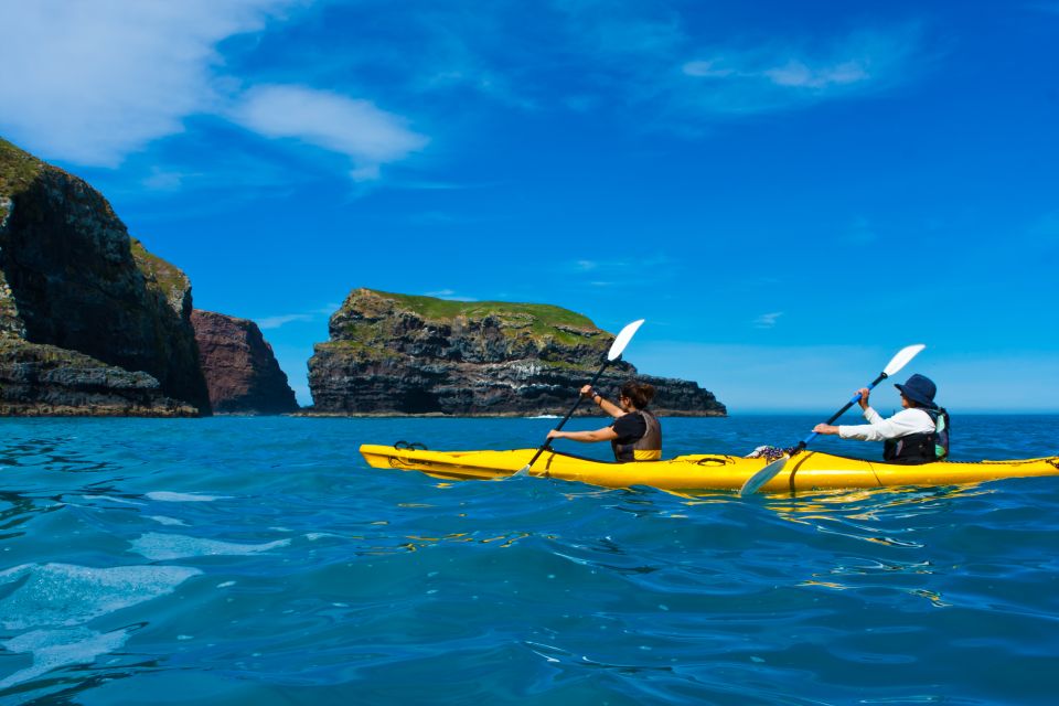 Akaroa: 4WD Safari and Guided Sea-Kayaking Experience - Additional Information