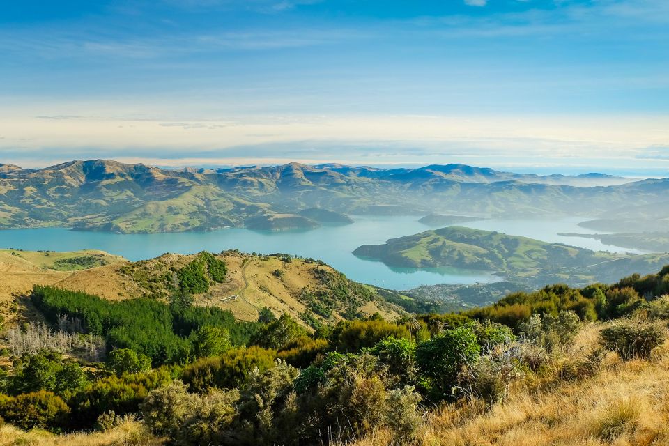 Akaroa: 4WD Safari and Guided Sea-Kayaking Experience - Customer Feedback