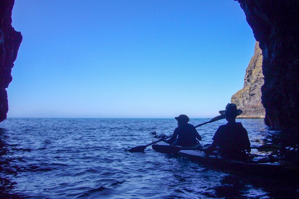 Akaroa: 4WD Safari and Guided Sea-Kayaking Experience - Frequently Asked Questions