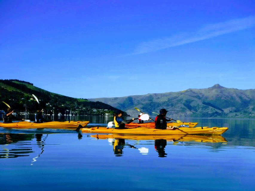 Akaroa: Akaroa Marine Reserve Sea Kayaking Tour - Booking Information