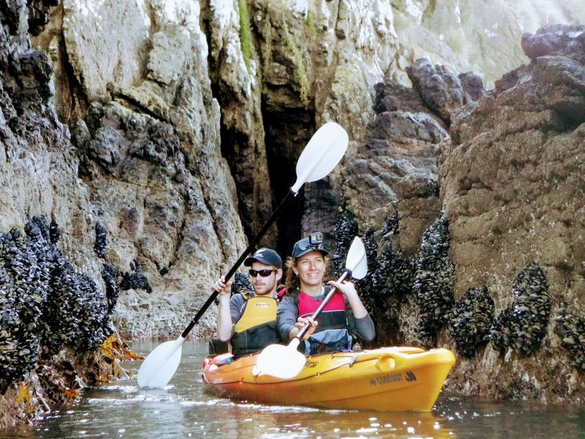 Akaroa: Akaroa Marine Reserve Sea Kayaking Tour - Experience Description
