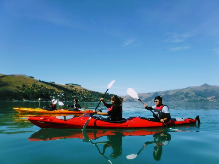 Akaroa: Akaroa Marine Reserve Sea Kayaking Tour - Customer Reviews