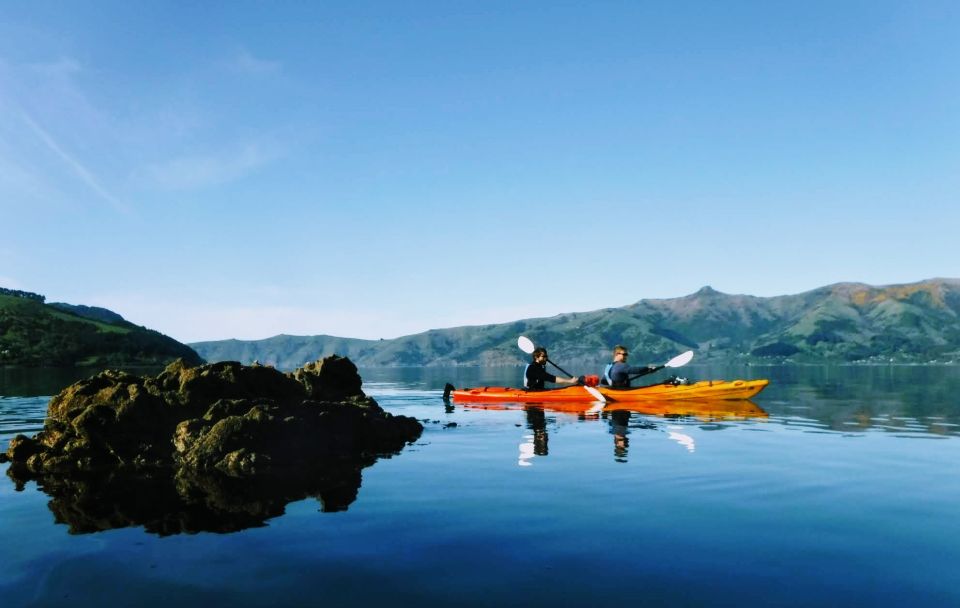 Akaroa: Akaroa Marine Reserve Sea Kayaking Tour - Meeting Point Details