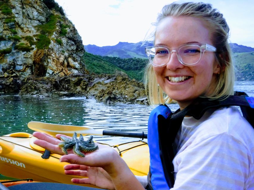 Akaroa: Akaroa Marine Reserve Sea Kayaking Tour - Google Maps Link