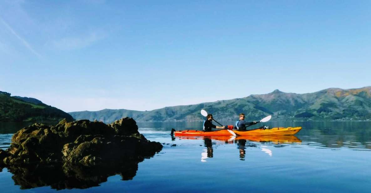 Akaroa: Akaroa Marine Reserve Sea Kayaking Tour - What to Bring