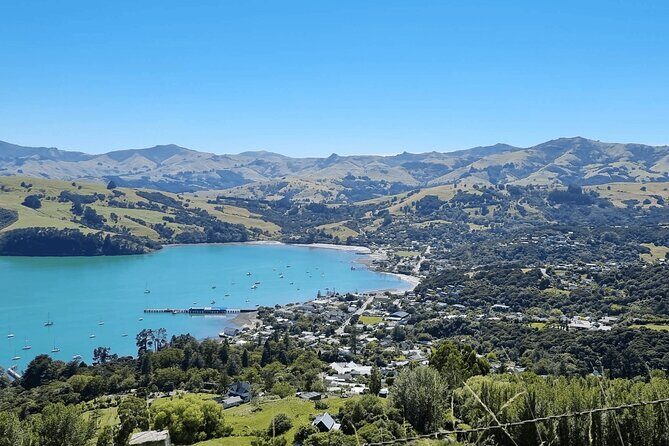 Akaroa and Akaroa Dolphins Day Tour - Frequently Asked Questions  