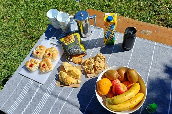 Akaroa and Banks Peninsula From Christchurch (Private Tour) - Exploring Akaroa: Art, Food, or Wildlife