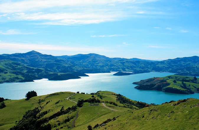 Akaroa and Banks Peninsula Wild Penguins Tour - Meeting and Pickup Details