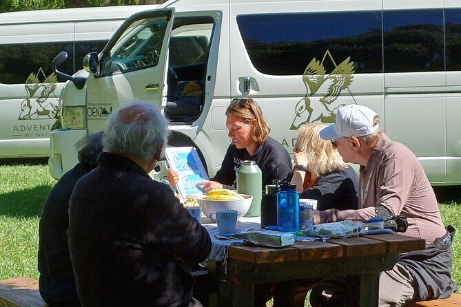 Akaroa & Banks Peninsula from Lyttelton(Private Shore Excursion) - The Sum Up: Who Will Love This Tour?