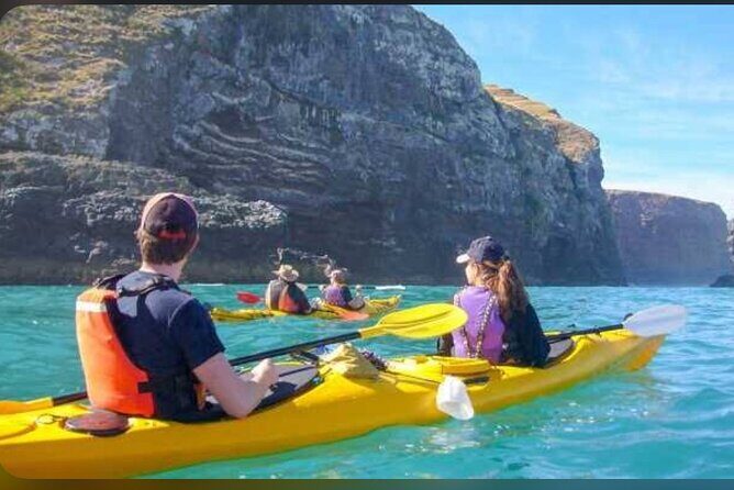 Akaroa Day Tour From Christchurch - The Practicalities: Transportation, Comfort, and Value