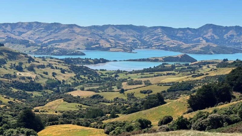 Akaroa Day Tour From Christchurch - An In-Depth Look at the Tour Experience