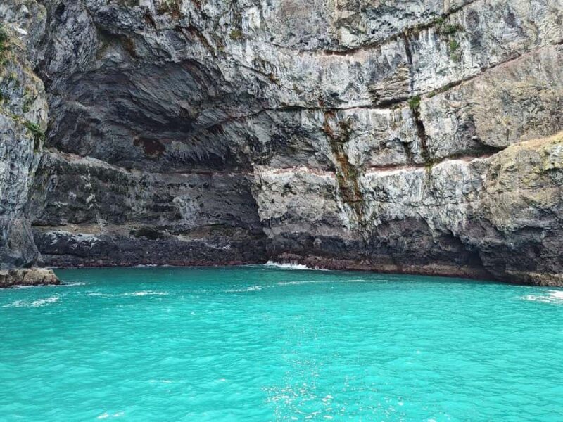 Akaroa Day Tour From Christchurch - Who Should Consider This Tour?