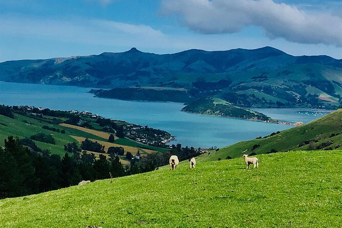 Akaroa Explorer- Guided Electric Bike Tour in Akaroa - The Itinerary in Detail