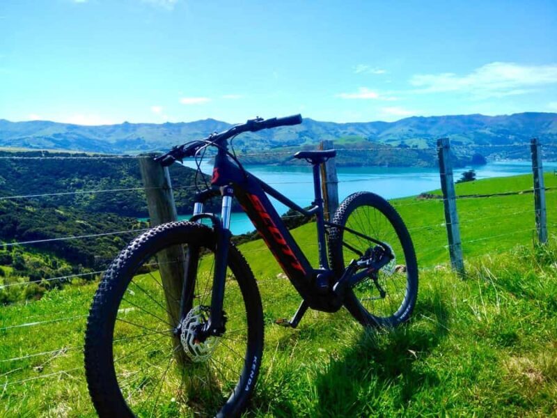 Akaroa Explorer: Guided Electric Mountain Bike Tour - Key Points