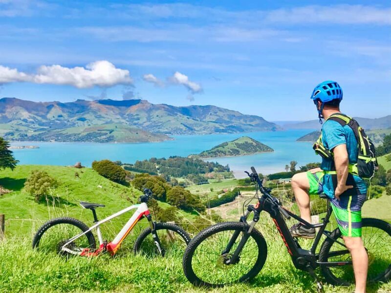 Akaroa: Guided Electric Mountain Bike Tour-Lava Loop - The Experience Breakdown