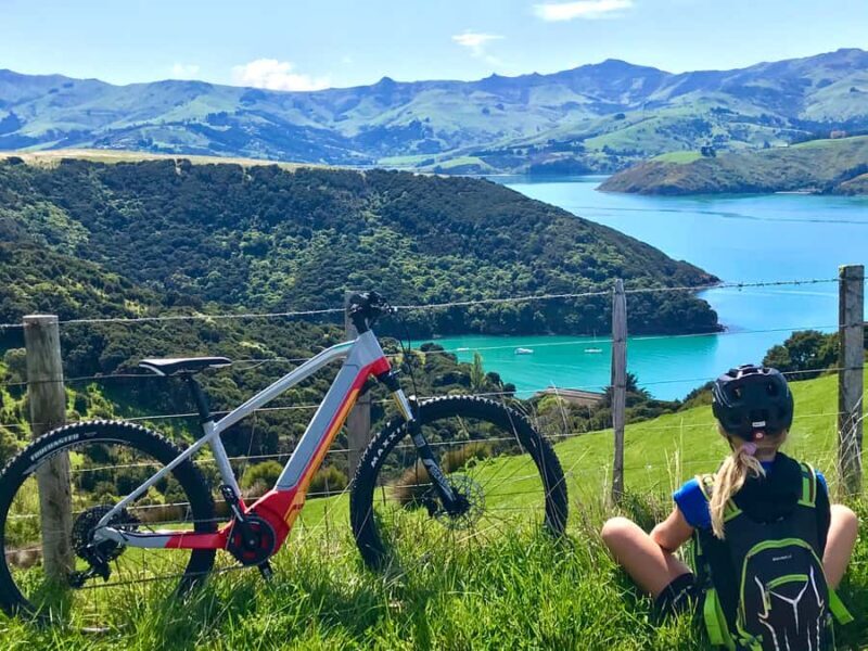 Akaroa: Guided Electric Mountain Bike Tour-Lava Loop - Authentic Reviews and Insights