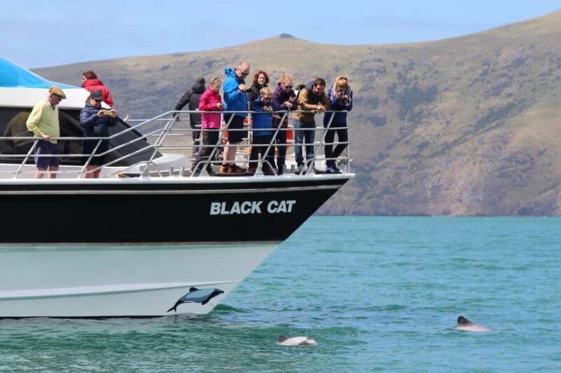Akaroa Harbour 2-Hour Dolphin Nature Cruise - Who Should Consider This Tour?