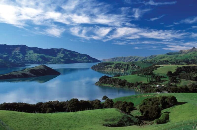 Akaroa Harbour 2-Hour Dolphin Nature Cruise - Summary: Is It Worth It?