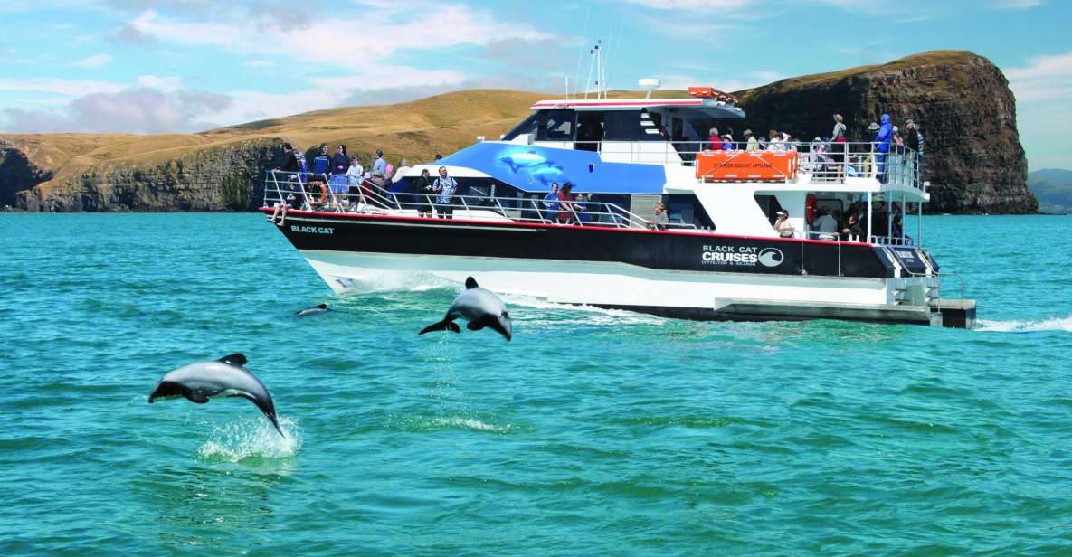 Akaroa Harbour 2-Hour Nature Cruise - Key Points