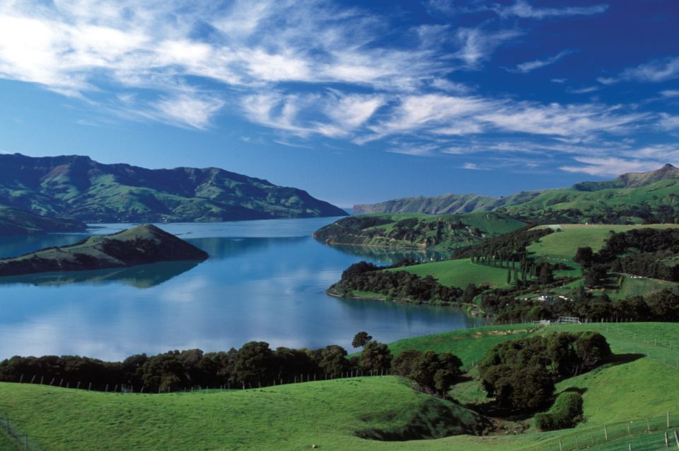Akaroa Harbour 2-Hour Nature Cruise - Award-Winning Cruise