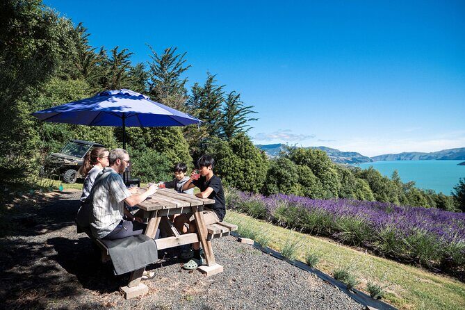 Akaroa Lavender Seasonal Guided Tour Experience - Final Thoughts