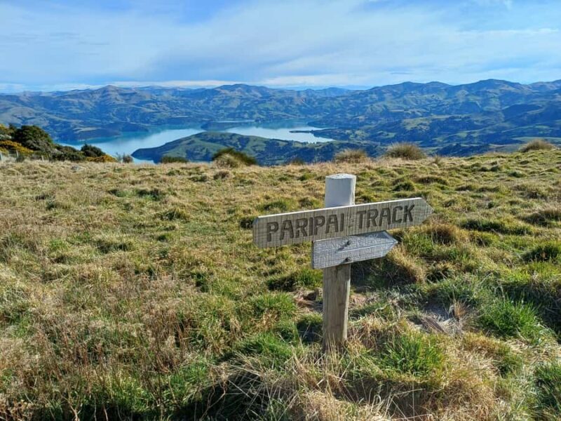 Akaroa: Lonely Beach Trail by E-Scooter. selfguided day out - The Value of This Experience