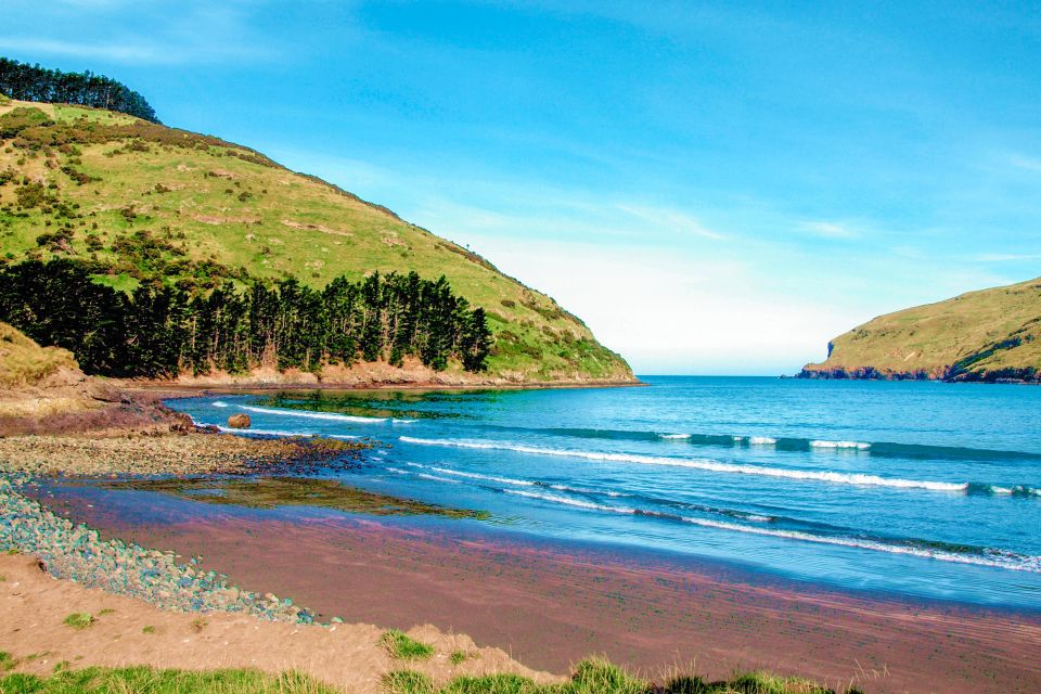 Akaroa: Pohatu Penguins Scenic Nature 2-Hour or 4-Hour Tour - Booking Information