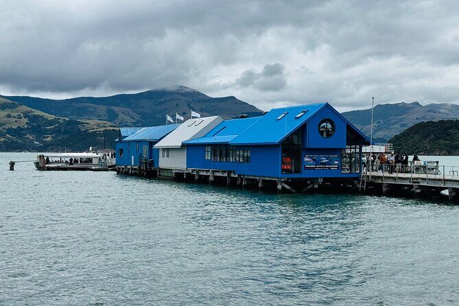 Akaroa Private Group Day Trip from Christchurch - The Itinerary: What to Expect