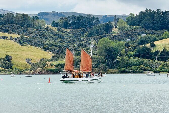 Akaroa Private Group Day Trip from Christchurch - What the Reviews Tell Us